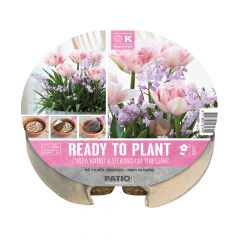Plant-O-Mat Bulb Tray Ø 24cm Tulip & Chionodoxa