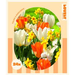 Lovely Combinations - Tulip Orange/White & Narcissi Yellow/Orange