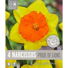 Narcissi Pride Of Lions (Premium Bulb Collection)
