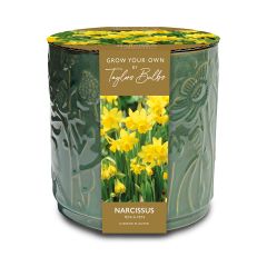 Embossed Floral Ceramic Planter - Narcissi