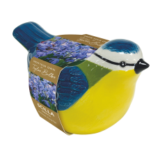 Novelty Blue Tit Planter - Scilla