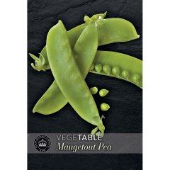 Kew VegeTable - Pea Mangetout Sweet Horizon