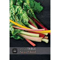 Kew VegeTable - Swiss Chard Beet Bright Lights Rubbed F1 Hybrid