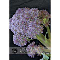 Kew VegeTable - Broccoli Sprouting Summer Purple
