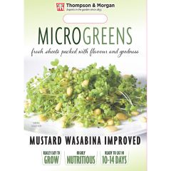 Microgreens Mustard Wasabina Improved