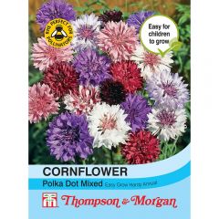 Cornflower Polka Dot Mixed