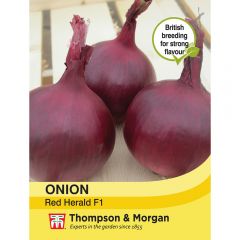 Onion Red Herald