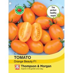 Tomato Orange Beauty F1 Hybrid