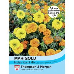 Marigold Indian Kushi Mix