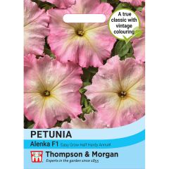 Petunia Hybrida Multiflora Alenka F1