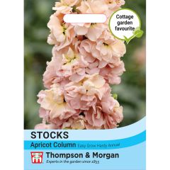 Stock Apricot Column