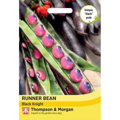 Runner Bean Black Knight