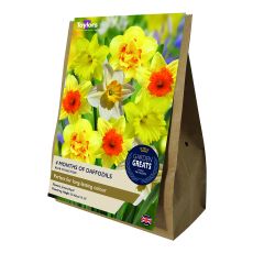 Garden Greats 4 Months Of Daffodils Collection