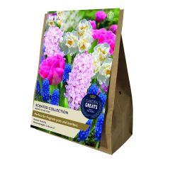 Garden Greats Scented Bulb Collection
