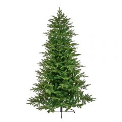 8ft Donard Spruce Christmas Tree