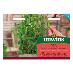 Pea (Petite) Peas 'N' Pod Bernard
