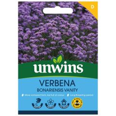 Verbena Bonariensis Vanity