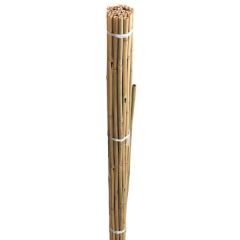 Grow It Bamboo Canes 60cm (Pack of 20)