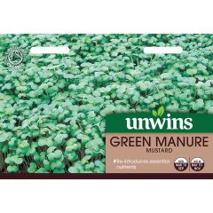 Green Manure Mustard