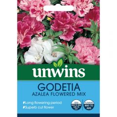 Godetia Azalea Flowered Mix