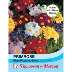 Primrose Thompson & Morgan Special Giant Flowered Mixed