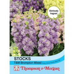 Stocks Thompson & Morgan Brompton Mixed