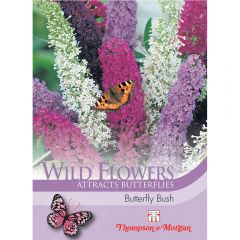 Wild Flower Seeds Butterfly Bush