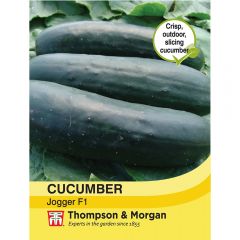 Cucumber Jogger F1 Hybrid