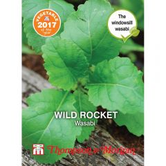 Herb Wild Rocket Wasabi