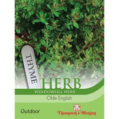 Herb Thyme Olde English