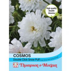 Cosmos Double Click Snow Puff