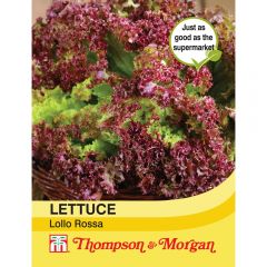 Lettuce Lollo Rossa