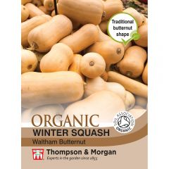 Squash Waltham Butternut (winter) (Organic)