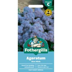 Ageratum Blue Mink