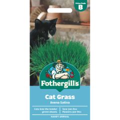 Cat Grass Avena Sativa