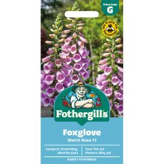 Foxglove Warm Rose F1