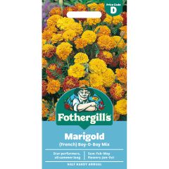 Marigold (French) Boy-O-Boy Mix