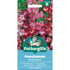 Penstemon Mix Colours