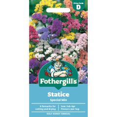 Statice Special Mix