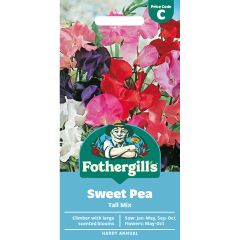 Sweet Pea Tall Mix