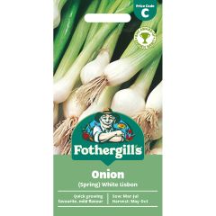 Onion (Spring) White Lisbon