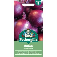 Onion Red Flash F1