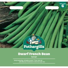 Dwarf French Bean Ferrari