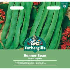 Runner Bean Scarlet Emperor