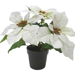 24cm Artificial Poinsettia - White