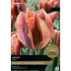 Tulip Artist (Select from Taylor's)