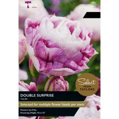Tulip Double Surprise (Select from Taylor's)