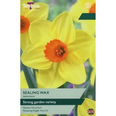 Narcissi Sealing Wax