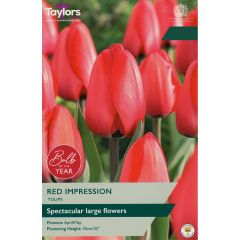 Tulip Red Impression