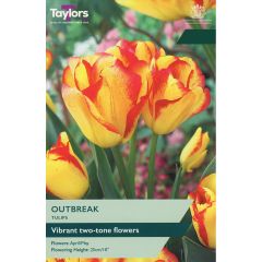 Tulip Outbreak